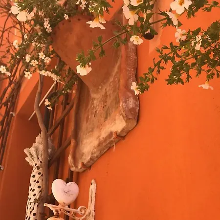 La Bouganville Rosignano Marittimo